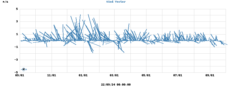 Wind Vector